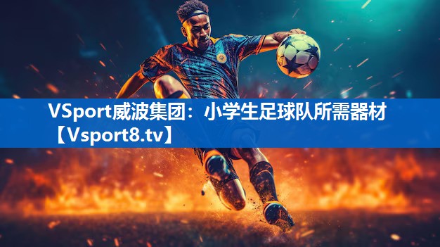 VSport威波集团：小学生足球队所需器材
